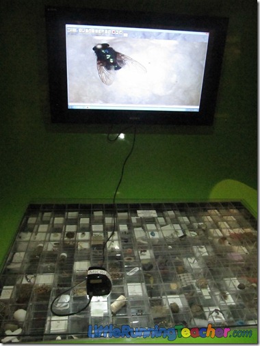 Mind_Museum_Fort_Bonifacio143