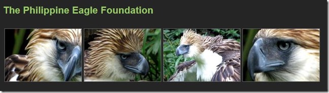 Philippine Eagle Foundation