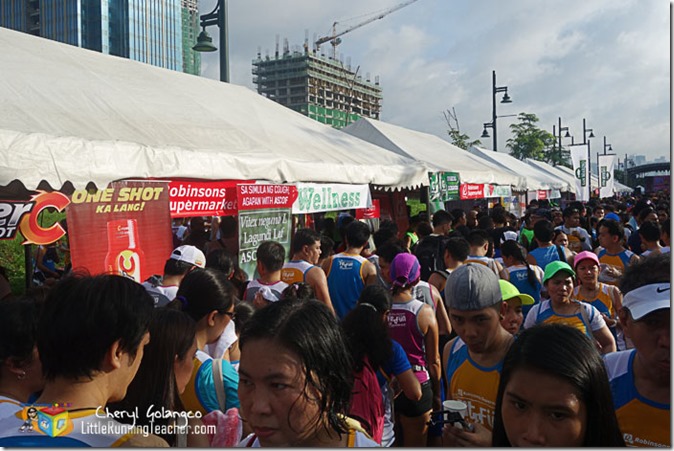 Robinsons-Fit-and-Fun-Wellness-Buddy-Run-2014-(03)