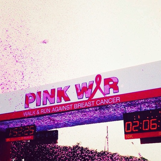 Avon-Pink-War