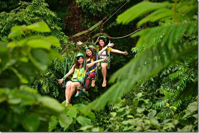 Tree-Top-Adventure-canopy-ride