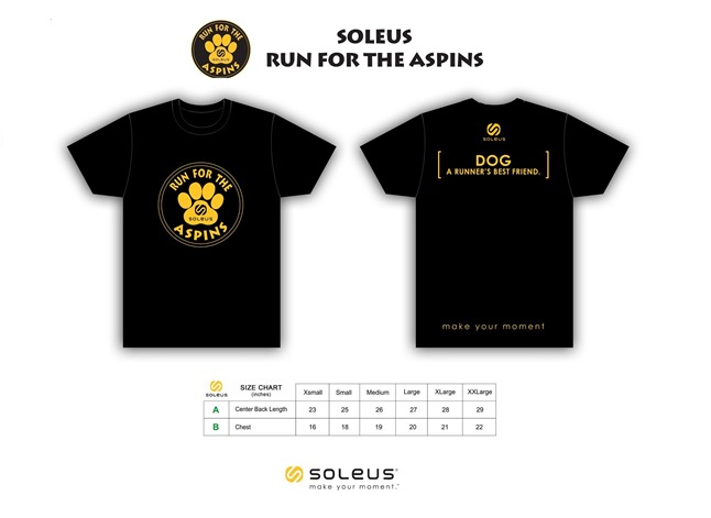 ASoleus_Aspins SHIRTS